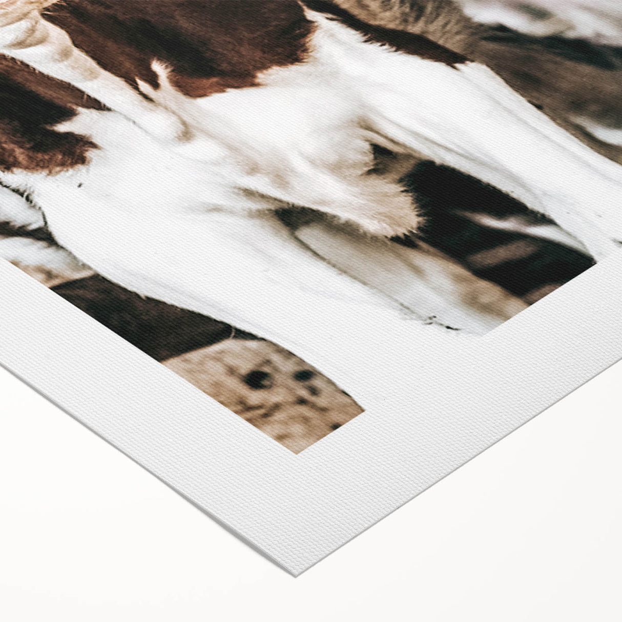 Farmhouse Wall Art of Calves in Barn - Rustic Country Style Decor