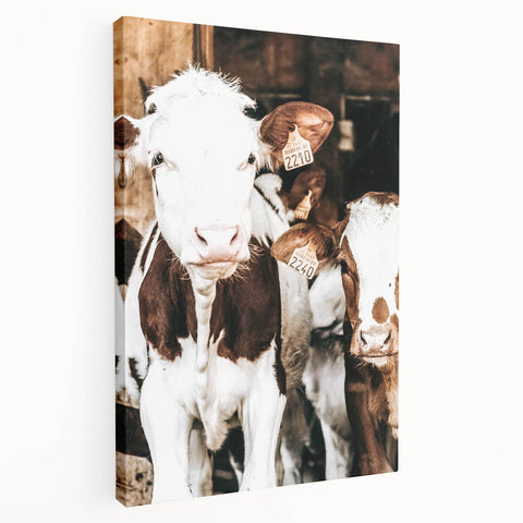 Farmhouse Wall Art of Calves in Barn - Rustic Country Style Decor