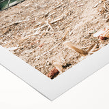 Rustic Farmhouse Wall Art of Green Tractor in Field - Country Style Decor