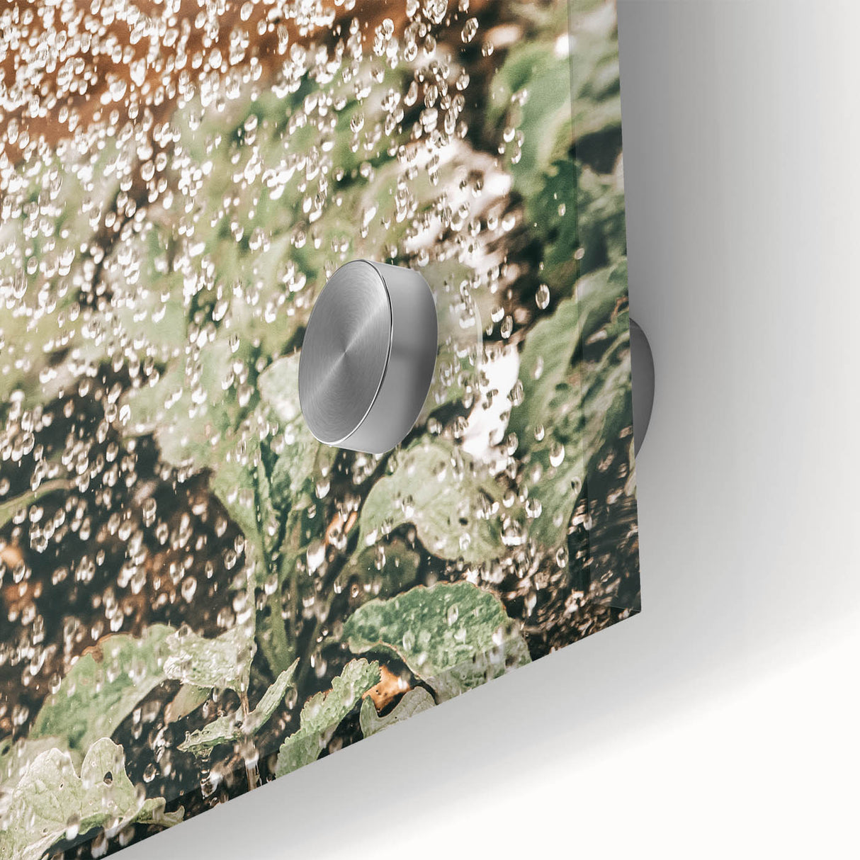 Rustic Farmhouse Wall Art of Watering Plants - Country Style Decor