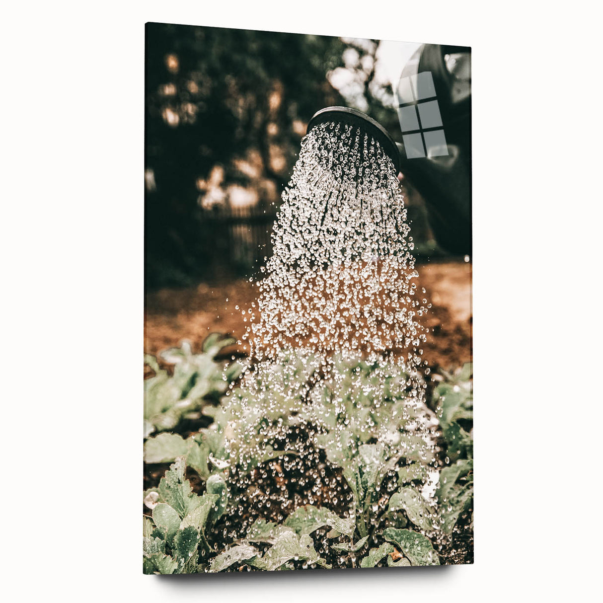 Rustic Farmhouse Wall Art of Watering Plants - Country Style Decor