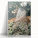 Rustic Farmhouse Wall Art of Watering Plants - Country Style Decor