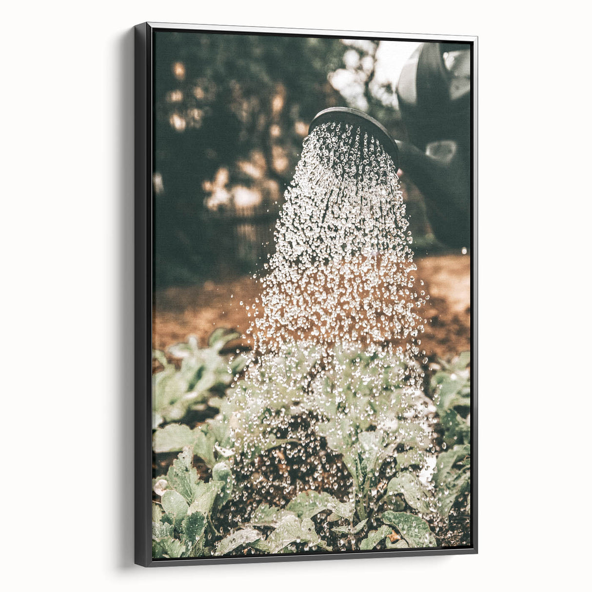 Rustic Farmhouse Wall Art of Watering Plants - Country Style Decor