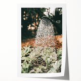 Rustic Farmhouse Wall Art of Watering Plants - Country Style Decor