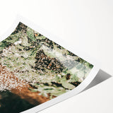 Rustic Farmhouse Wall Art of Watering Plants - Country Style Decor