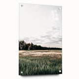 Farmhouse Wall Art of Sunlit Wheat Field - Rustic Country Style Decor