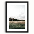 Farmhouse Wall Art of Sunlit Wheat Field - Rustic Country Style Decor