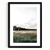 Farmhouse Wall Art of Sunlit Wheat Field - Rustic Country Style Decor