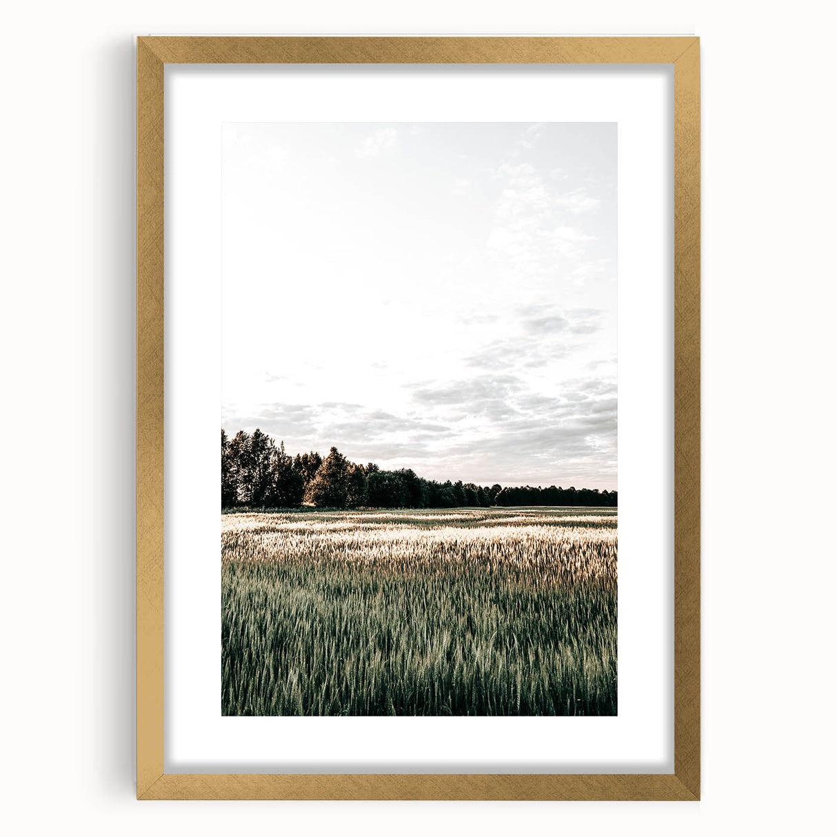 Farmhouse Wall Art of Sunlit Wheat Field - Rustic Country Style Decor