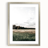Farmhouse Wall Art of Sunlit Wheat Field - Rustic Country Style Decor