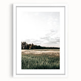 Farmhouse Wall Art of Sunlit Wheat Field - Rustic Country Style Decor