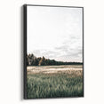 Farmhouse Wall Art of Sunlit Wheat Field - Rustic Country Style Decor