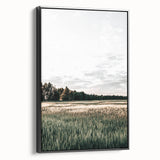 Farmhouse Wall Art of Sunlit Wheat Field - Rustic Country Style Decor