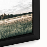 Farmhouse Wall Art of Sunlit Wheat Field - Rustic Country Style Decor