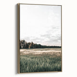 Farmhouse Wall Art of Sunlit Wheat Field - Rustic Country Style Decor
