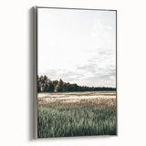 Farmhouse Wall Art of Sunlit Wheat Field - Rustic Country Style Decor