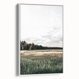 Farmhouse Wall Art of Sunlit Wheat Field - Rustic Country Style Decor