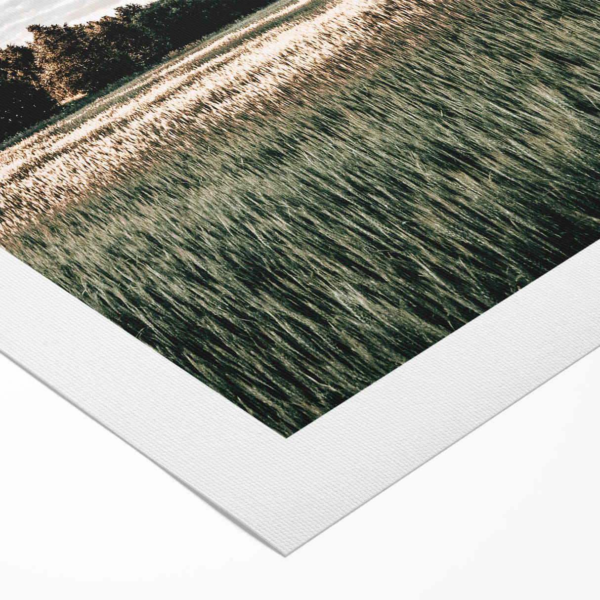 Farmhouse Wall Art of Sunlit Wheat Field - Rustic Country Style Decor