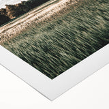 Farmhouse Wall Art of Sunlit Wheat Field - Rustic Country Style Decor