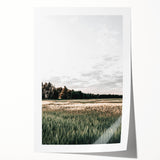 Farmhouse Wall Art of Sunlit Wheat Field - Rustic Country Style Decor