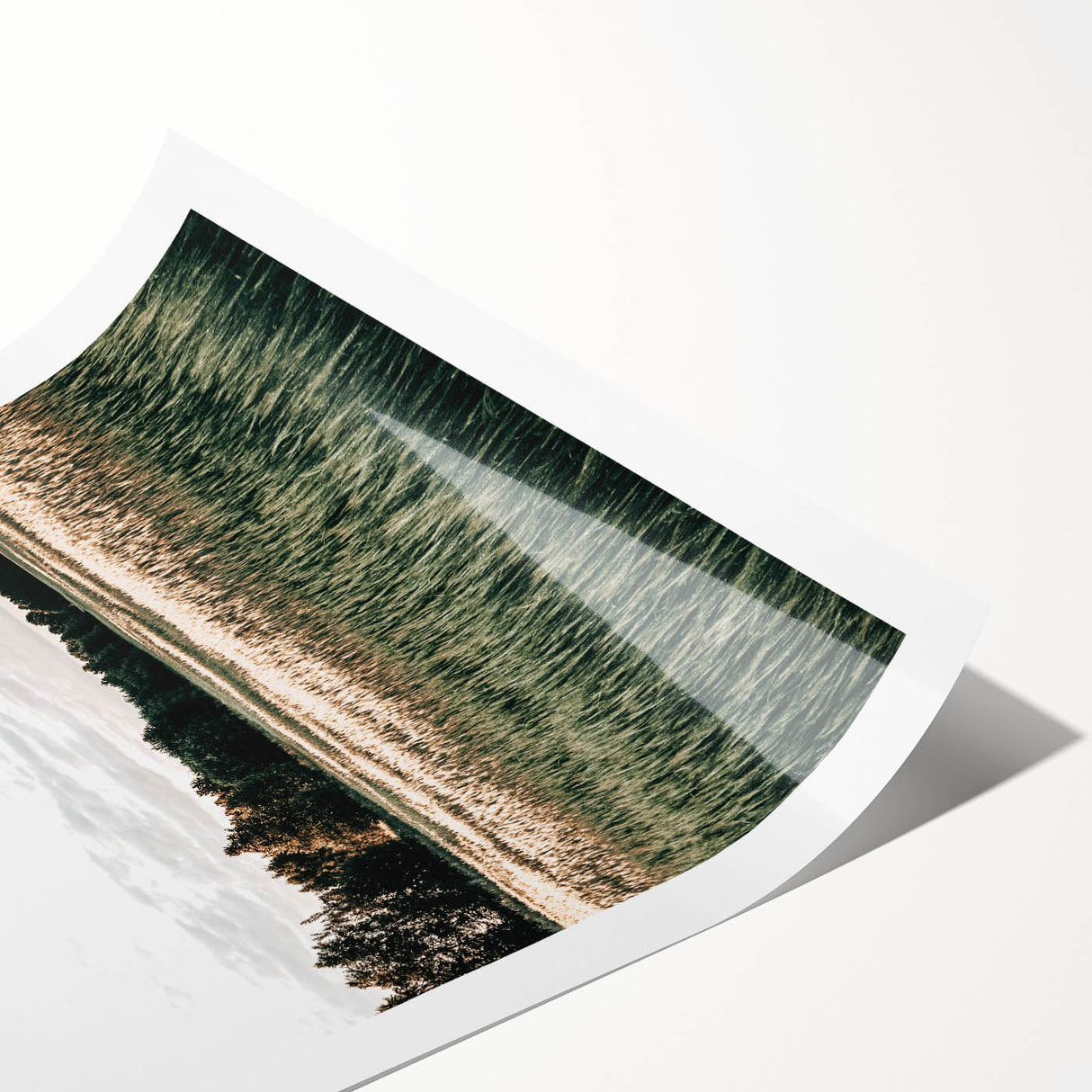 Farmhouse Wall Art of Sunlit Wheat Field - Rustic Country Style Decor