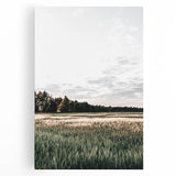 Farmhouse Wall Art of Sunlit Wheat Field - Rustic Country Style Decor