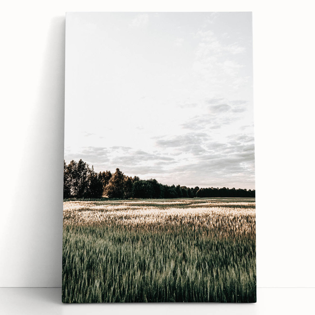 Farmhouse Wall Art of Sunlit Wheat Field - Rustic Country Style Decor
