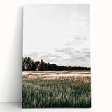 Farmhouse Wall Art of Sunlit Wheat Field - Rustic Country Style Decor