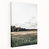 Farmhouse Wall Art of Sunlit Wheat Field - Rustic Country Style Decor