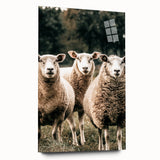 Farmhouse Wall Art of Sheep in Pasture - Rustic Country Style Decor