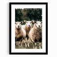Farmhouse Wall Art of Sheep in Pasture - Rustic Country Style Decor