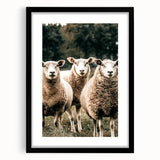 Farmhouse Wall Art of Sheep in Pasture - Rustic Country Style Decor