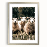 Farmhouse Wall Art of Sheep in Pasture - Rustic Country Style Decor