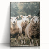 Farmhouse Wall Art of Sheep in Pasture - Rustic Country Style Decor