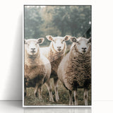 Farmhouse Wall Art of Sheep in Pasture - Rustic Country Style Decor