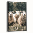 Farmhouse Wall Art of Sheep in Pasture - Rustic Country Style Decor