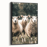 Farmhouse Wall Art of Sheep in Pasture - Rustic Country Style Decor