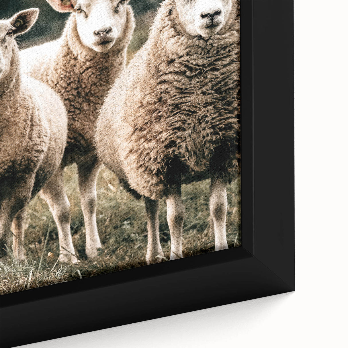 Farmhouse Wall Art of Sheep in Pasture - Rustic Country Style Decor