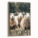 Farmhouse Wall Art of Sheep in Pasture - Rustic Country Style Decor