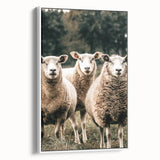 Farmhouse Wall Art of Sheep in Pasture - Rustic Country Style Decor