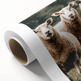 Farmhouse Wall Art of Sheep in Pasture - Rustic Country Style Decor