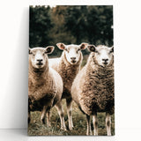Farmhouse Wall Art of Sheep in Pasture - Rustic Country Style Decor