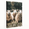 Farmhouse Wall Art of Sheep in Pasture - Rustic Country Style Decor
