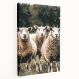 Farmhouse Wall Art of Sheep in Pasture - Rustic Country Style Decor