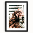 Farmhouse Wall Art of Rustic Chicken Portrait - Country Style Decor
