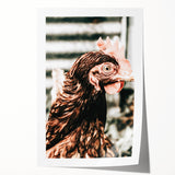 Farmhouse Wall Art of Rustic Chicken Portrait - Country Style Decor