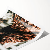 Farmhouse Wall Art of Rustic Chicken Portrait - Country Style Decor