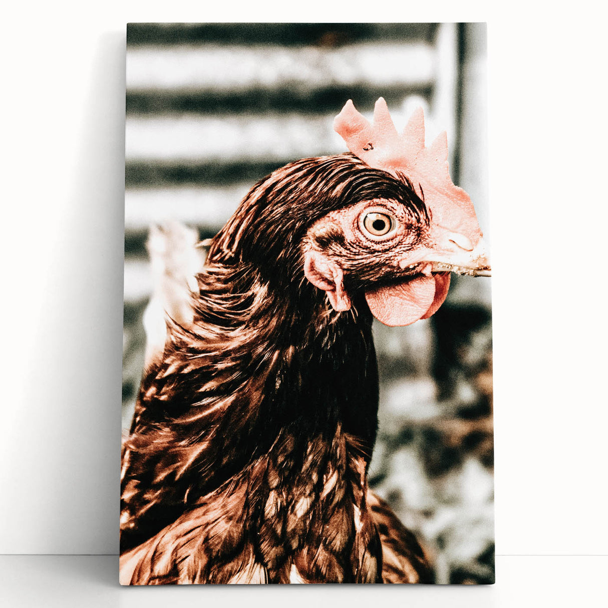 Farmhouse Wall Art of Rustic Chicken Portrait - Country Style Decor