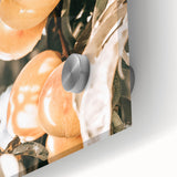 Farmhouse Wall Art - Rustic Farmhouse Decor with Fruit Tree Close-Up