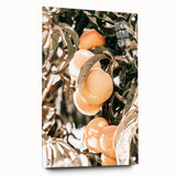 Farmhouse Wall Art - Rustic Farmhouse Decor with Fruit Tree Close-Up